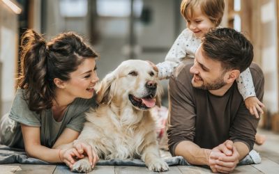 Breathe Easy: How to Improve Indoor Air Quality for Your Family and Pets | Oregon Healthy Homes